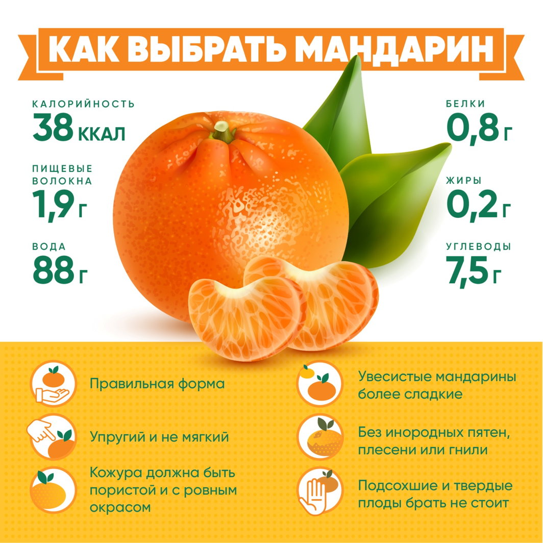 https://xn----8sbehgcimb3cfabqj3b.xn--p1ai/upload/tmp/fd_tmb/upload/images/%D0%97%D0%9F_%D0%BA%D0%B0%D0%BA%20%D0%B2%D1%8B%D0%B1%D1%80%D0%B0%D1%82%D1%8C%20%D0%BC%D0%B0%D0%BD%D0%B4%D0%B0%D1%80%D0%B8%D0%BD_1%20(1).jpg